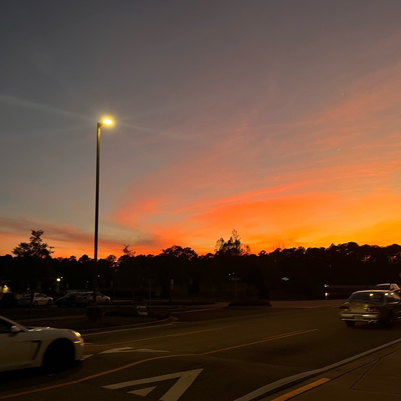 Meet your Posher, Sophia - Picture 2 of 4